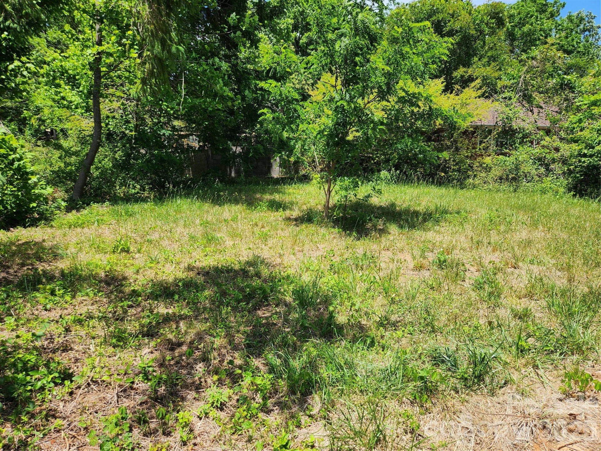 11 Weaver Hill Road - Photo 6