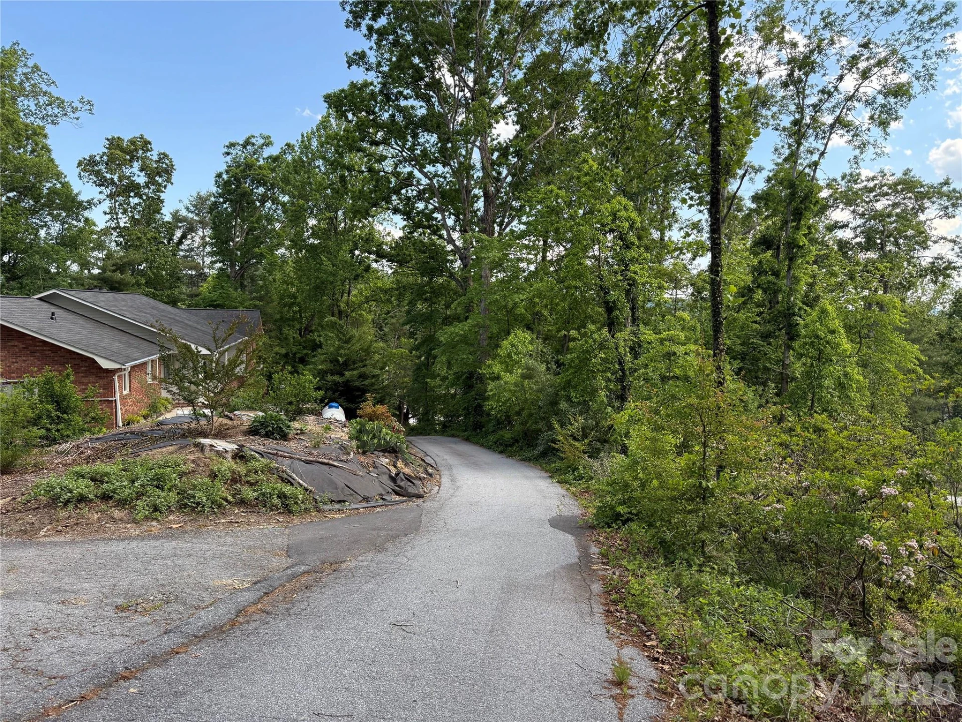 53 Will Road #2 - Photo 2