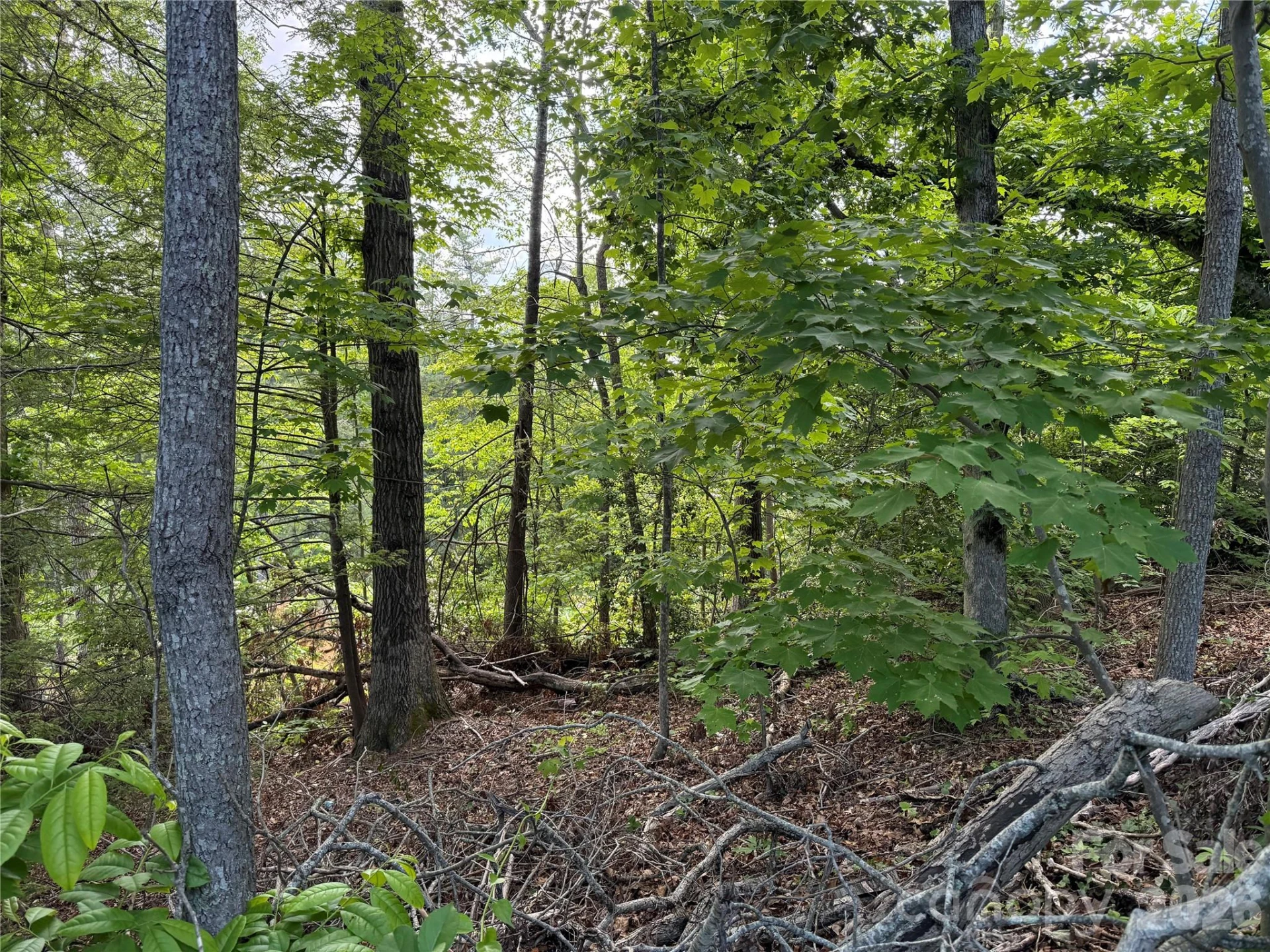 53 Will Road #2 - Photo 3