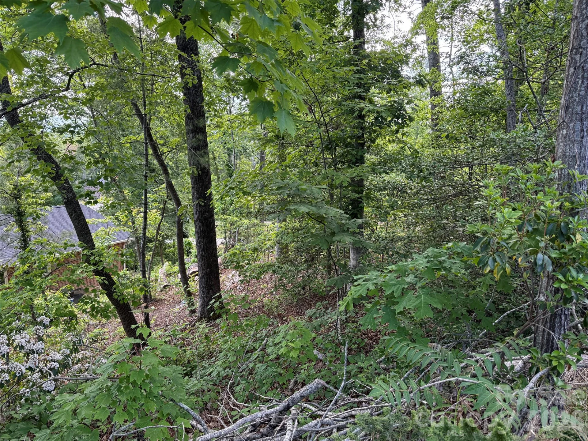 53 Will Road #2 - Photo 4