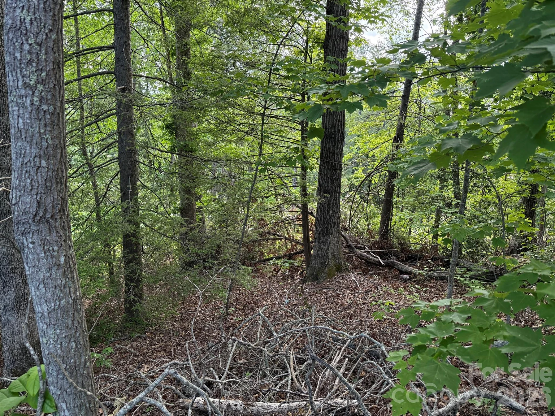 53 Will Road #2 - Photo 5