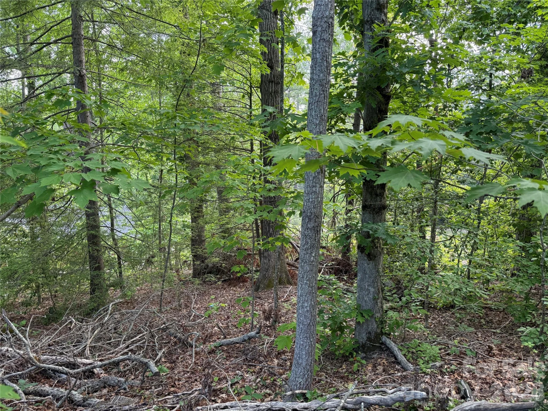 53 Will Road #2 - Photo 6