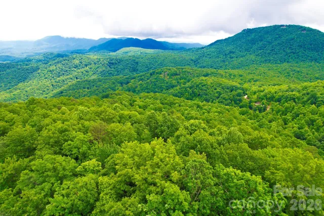 215 Laurel Mountain Trail