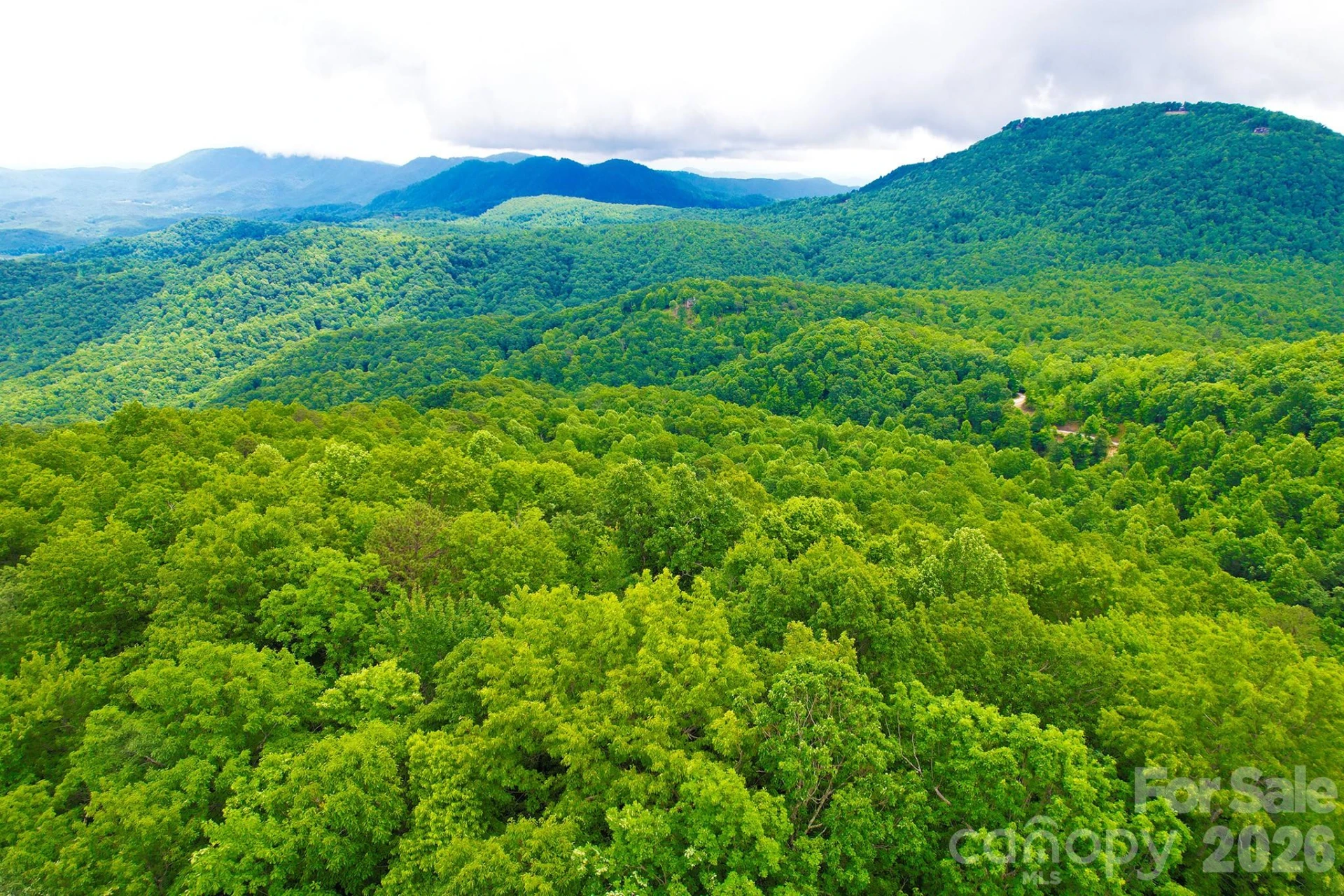 215 Laurel Mountain Trail #10