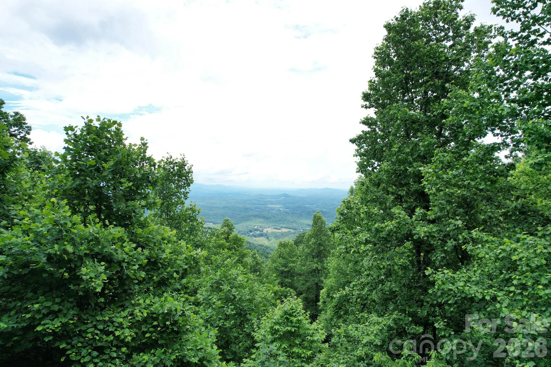 215 Laurel Mountain Trail #10 - Photo 2