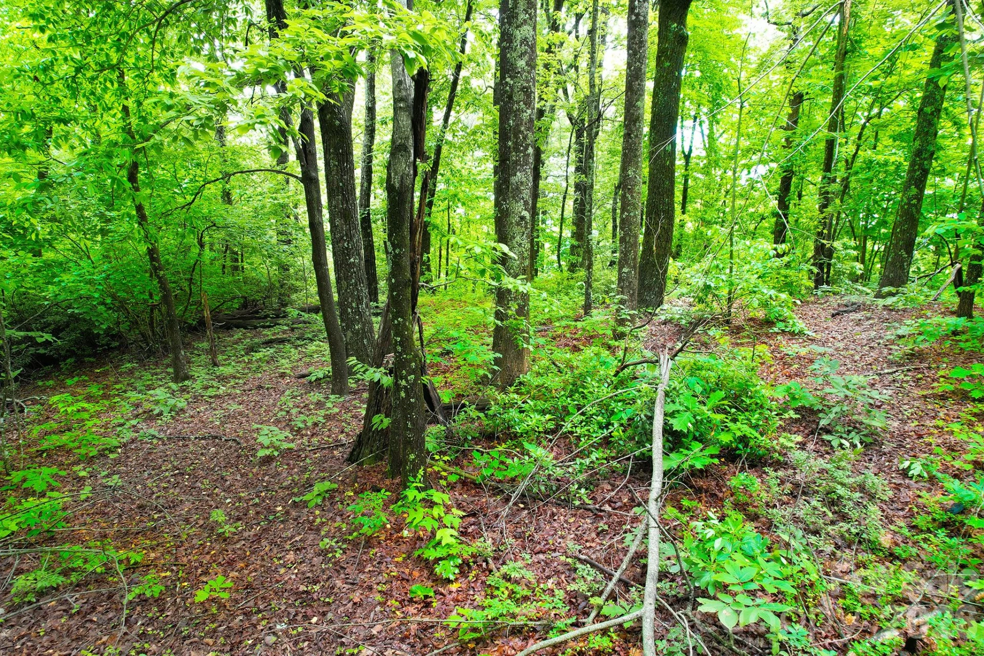 215 Laurel Mountain Trail #10 - Photo 13