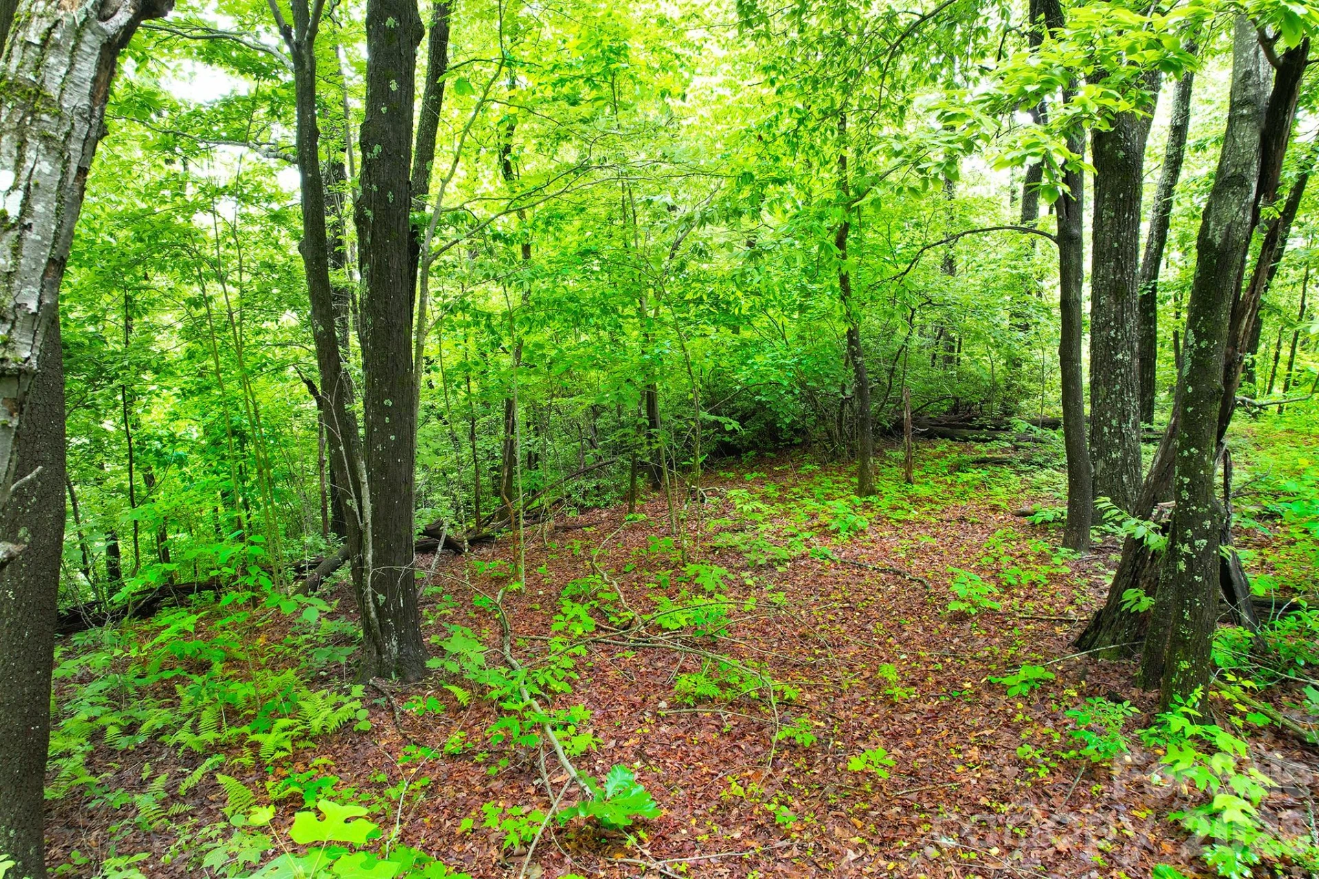 215 Laurel Mountain Trail #10 - Photo 14
