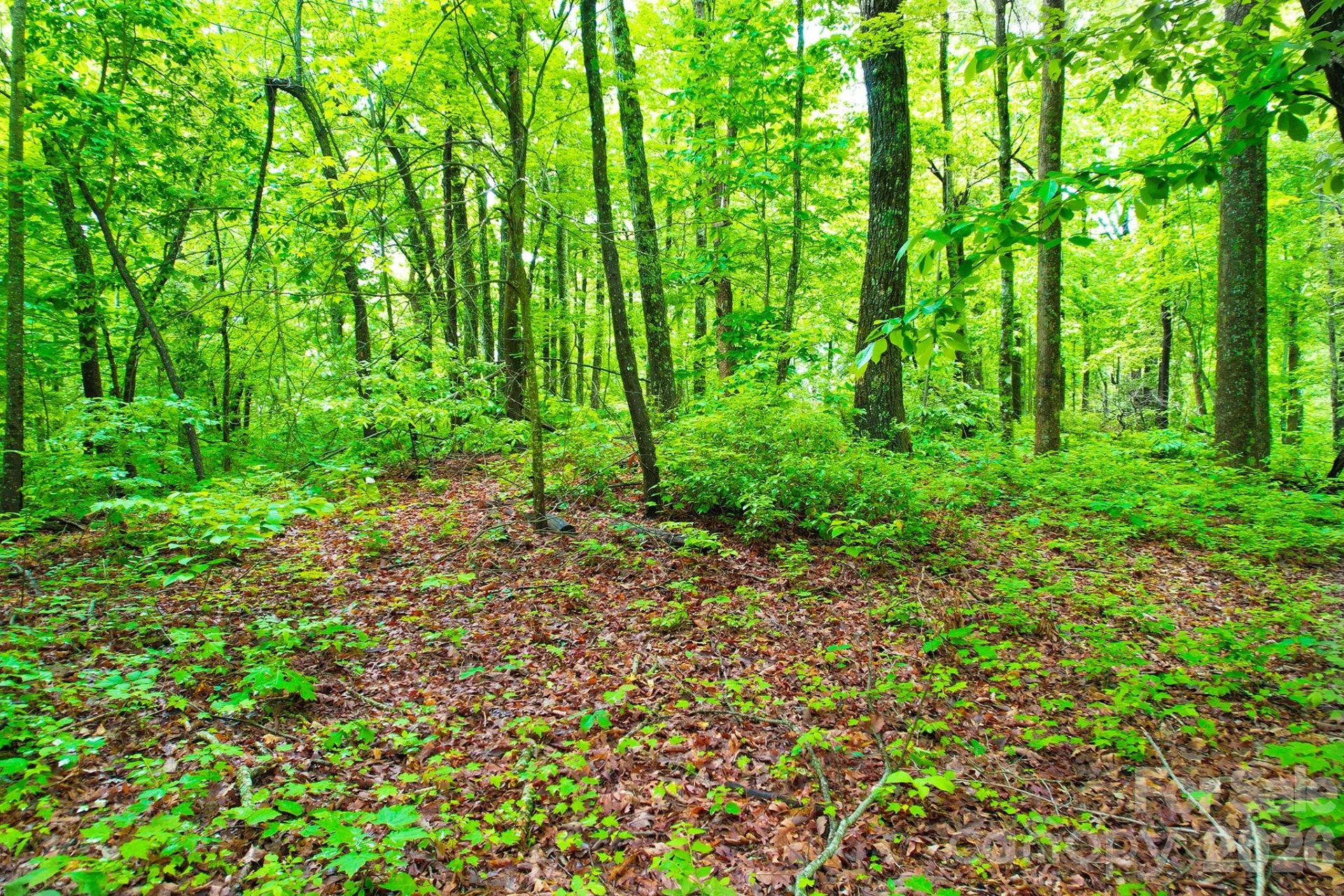 215 Laurel Mountain Trail #10 - Photo 15