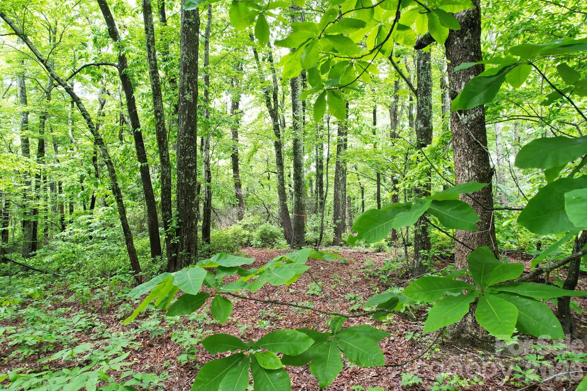 215 Laurel Mountain Trail #10 - Photo 16
