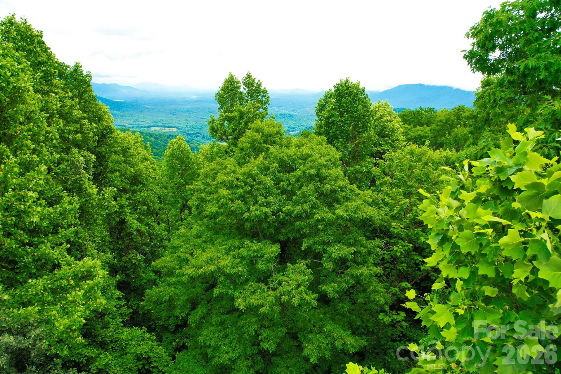 215 Laurel Mountain Trail #10 - Photo 17