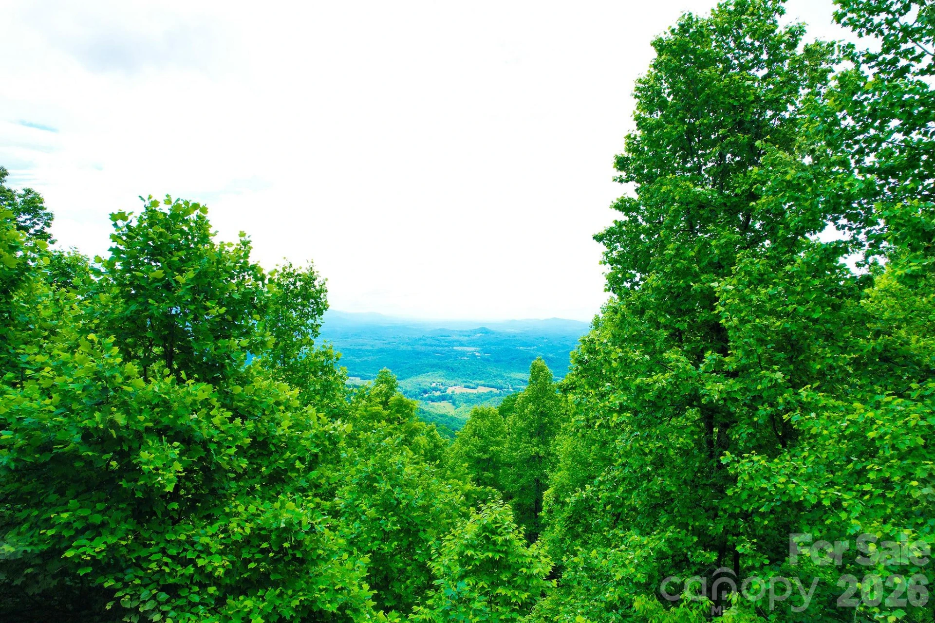215 Laurel Mountain Trail #10 - Photo 18