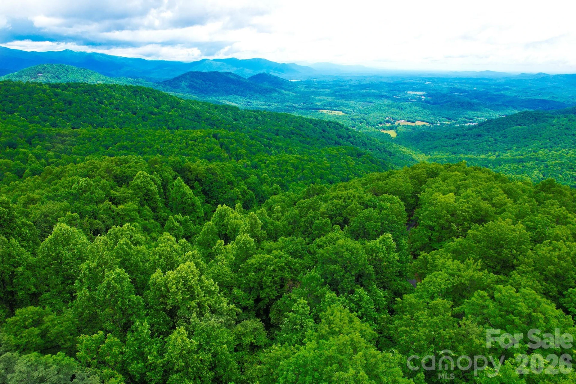 215 Laurel Mountain Trail #10 - Photo 4