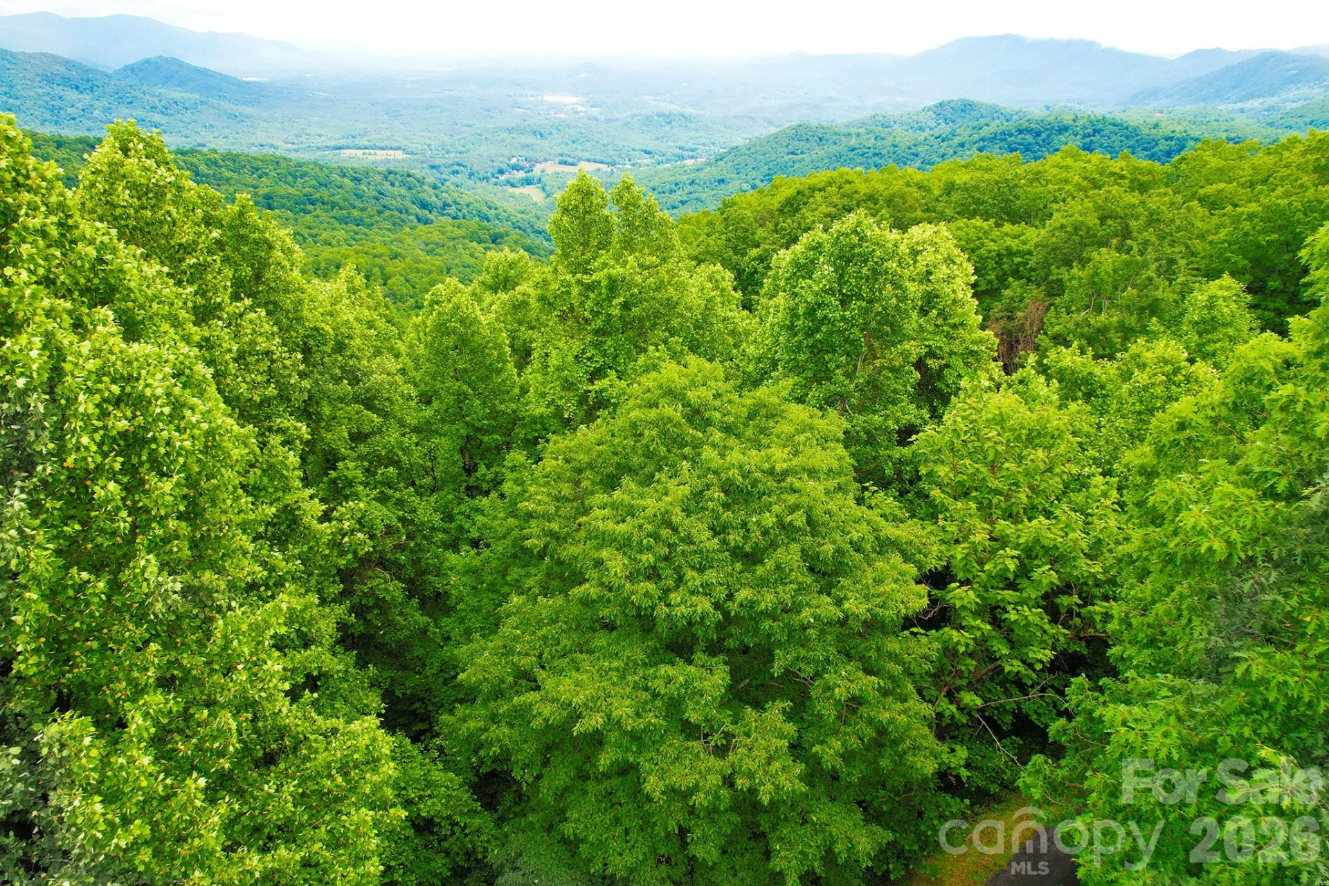 215 Laurel Mountain Trail #10 - Photo 5
