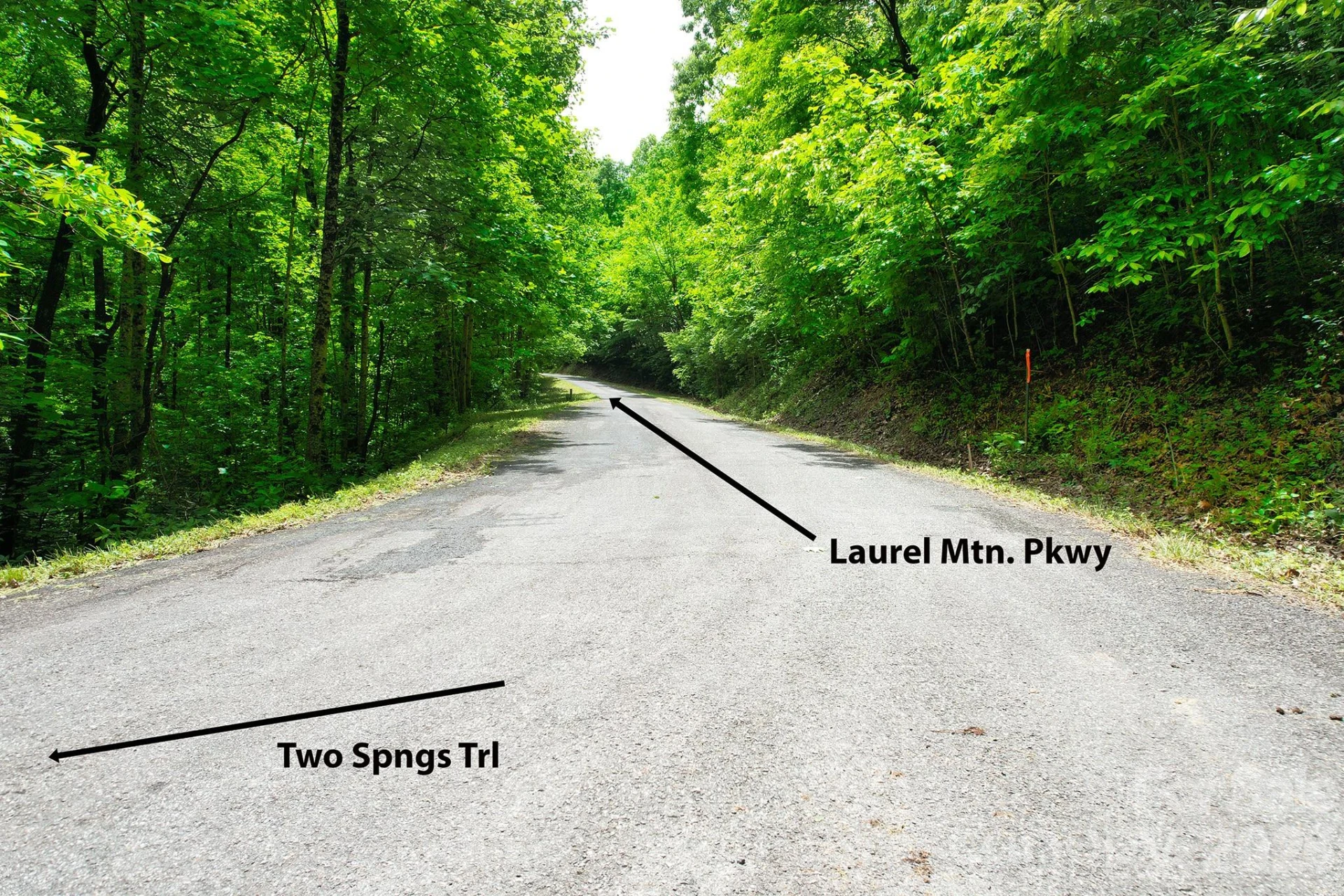 215 Laurel Mountain Trail #10 - Photo 7