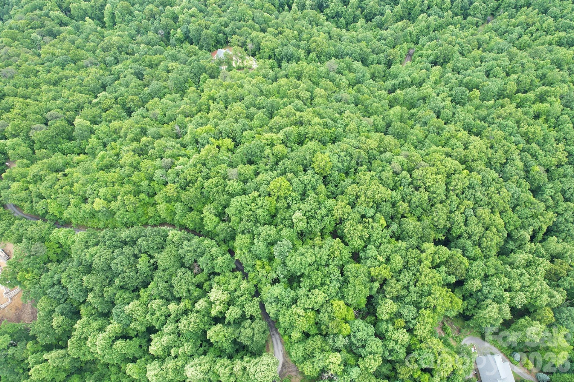 215 Laurel Mountain Trail #10 - Photo 8