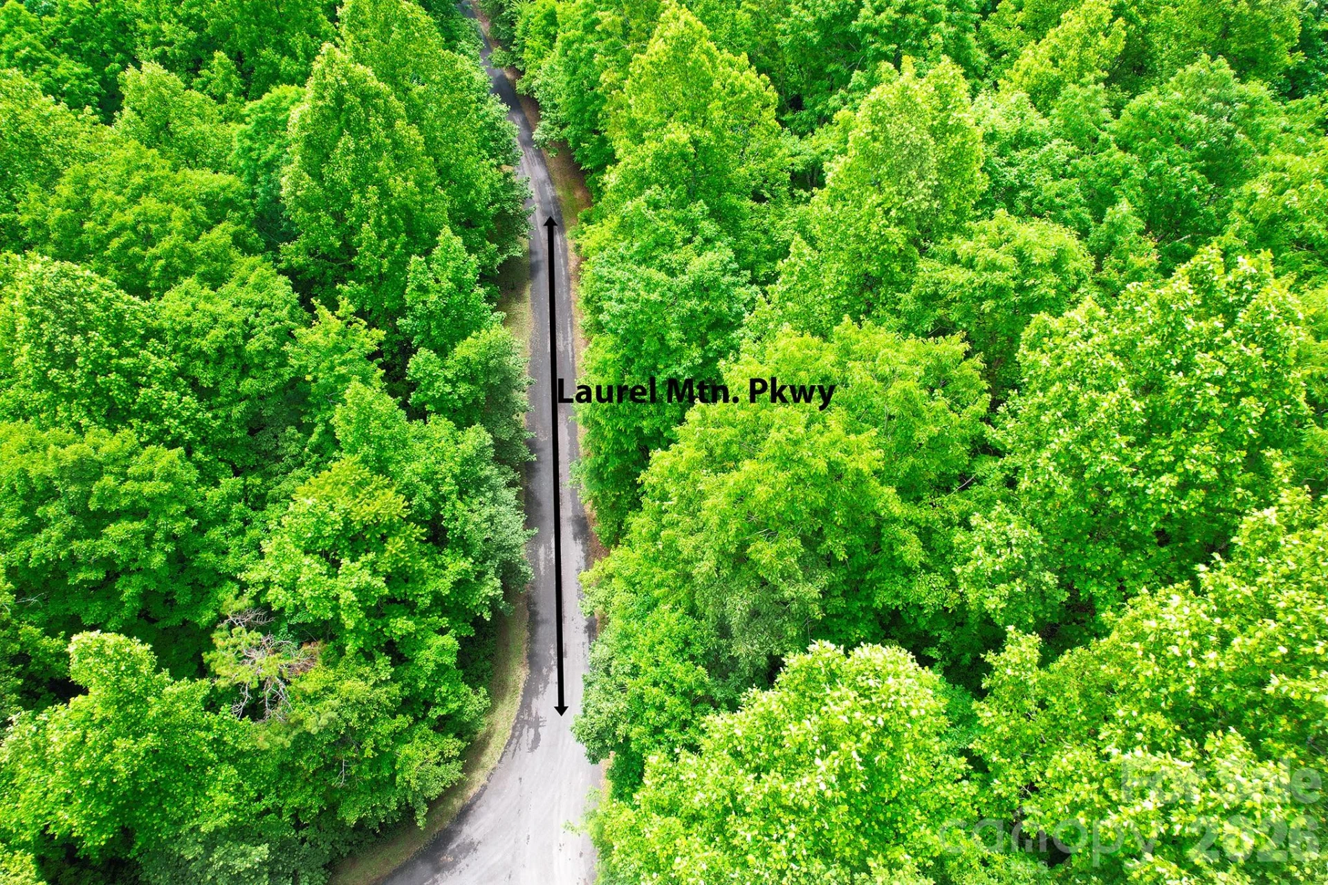 215 Laurel Mountain Trail #10 - Photo 10