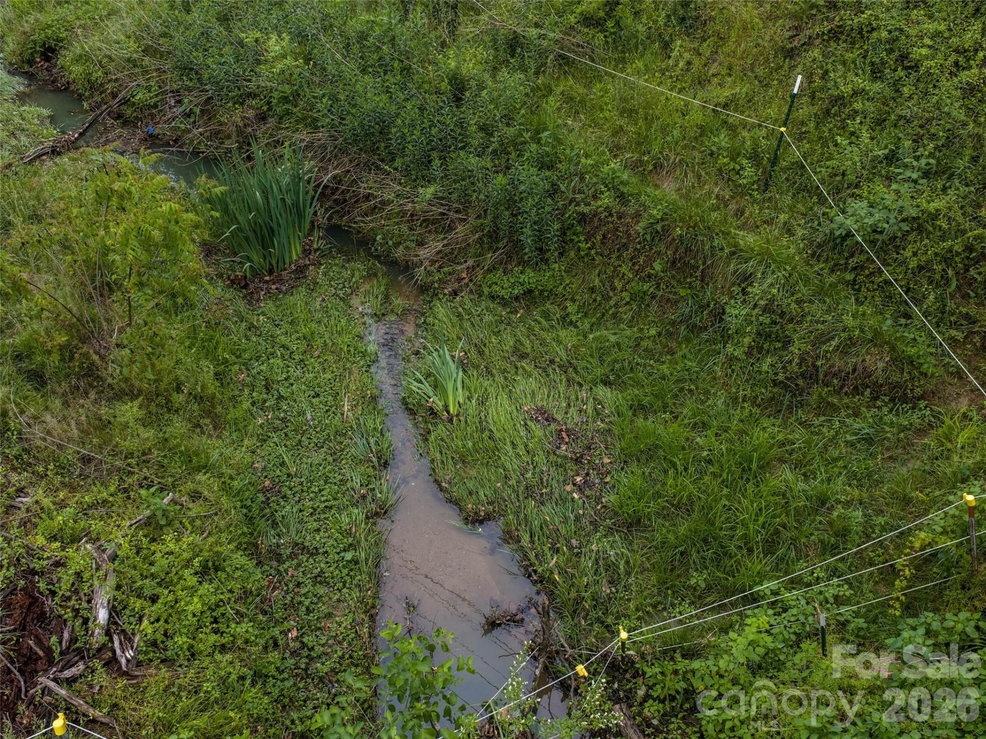 21 Joy Hughes Lane - Photo 13