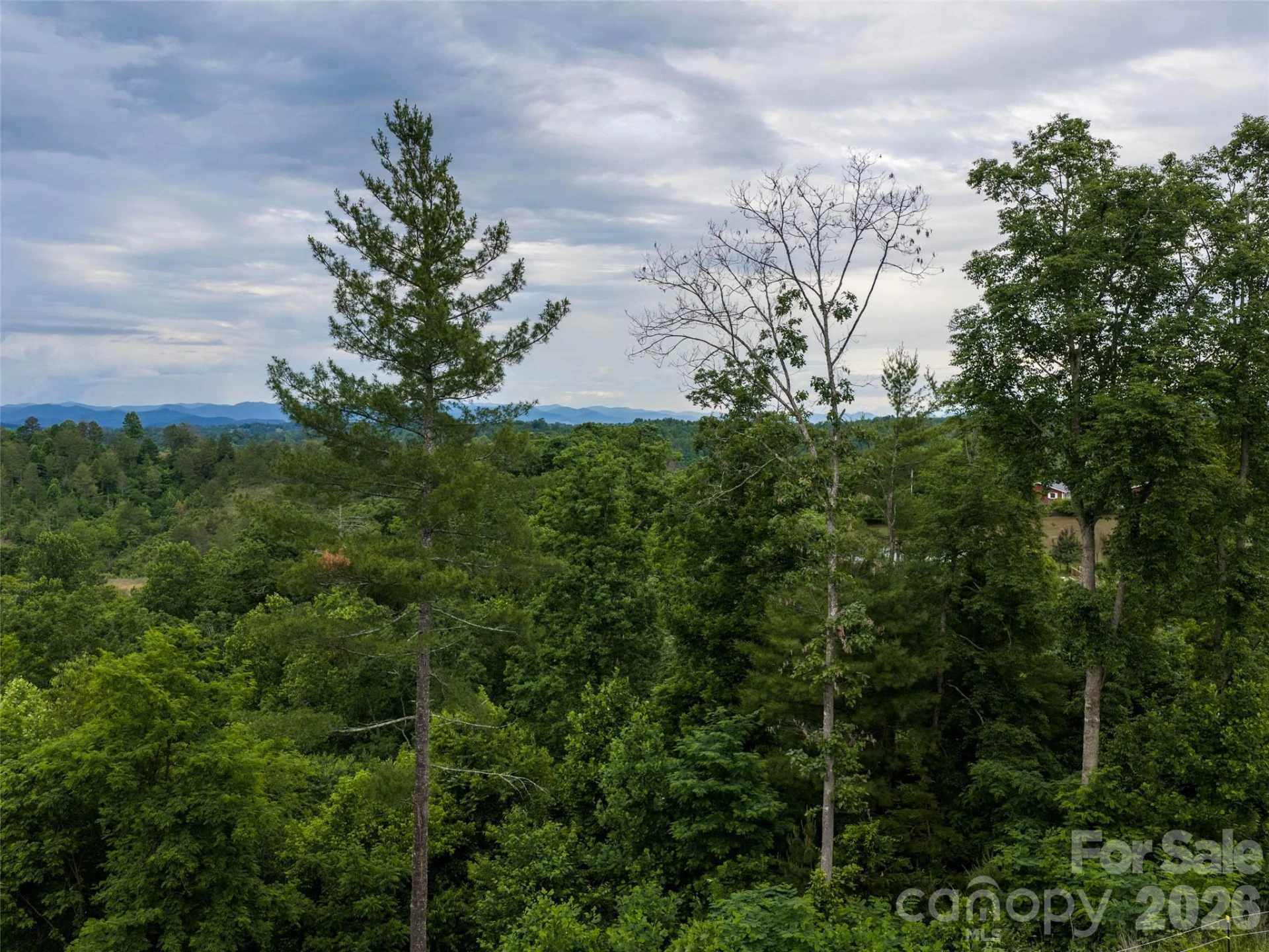 21 Joy Hughes Lane - Photo 5