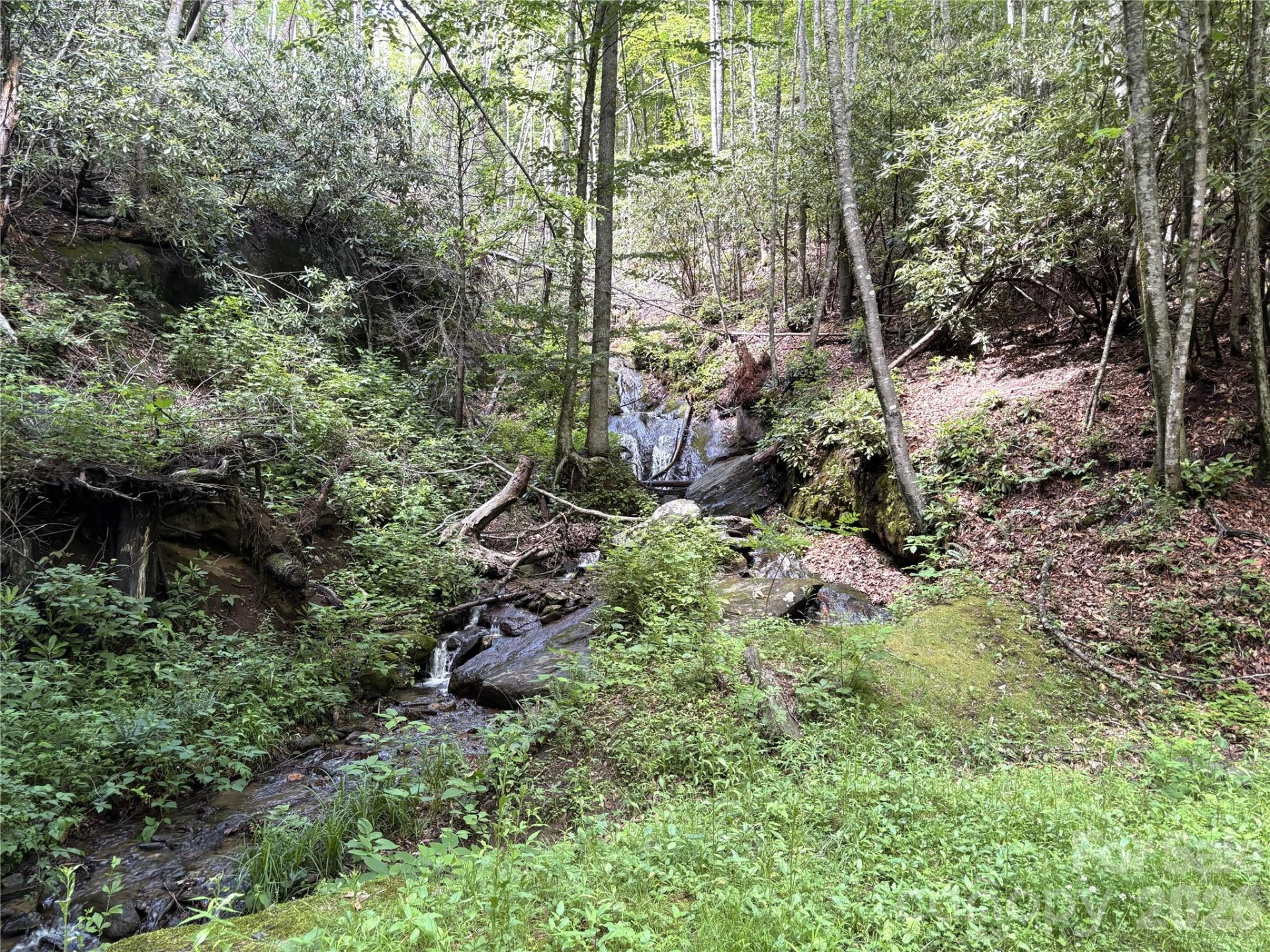 000 Valley View Drive - Photo 2