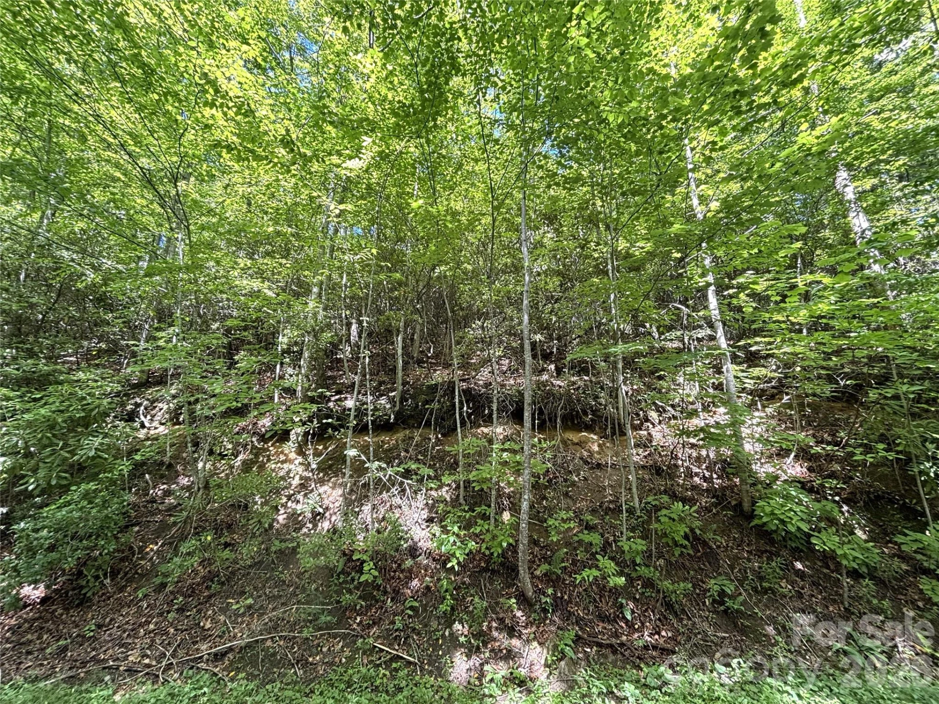 000 Valley View Drive - Photo 16