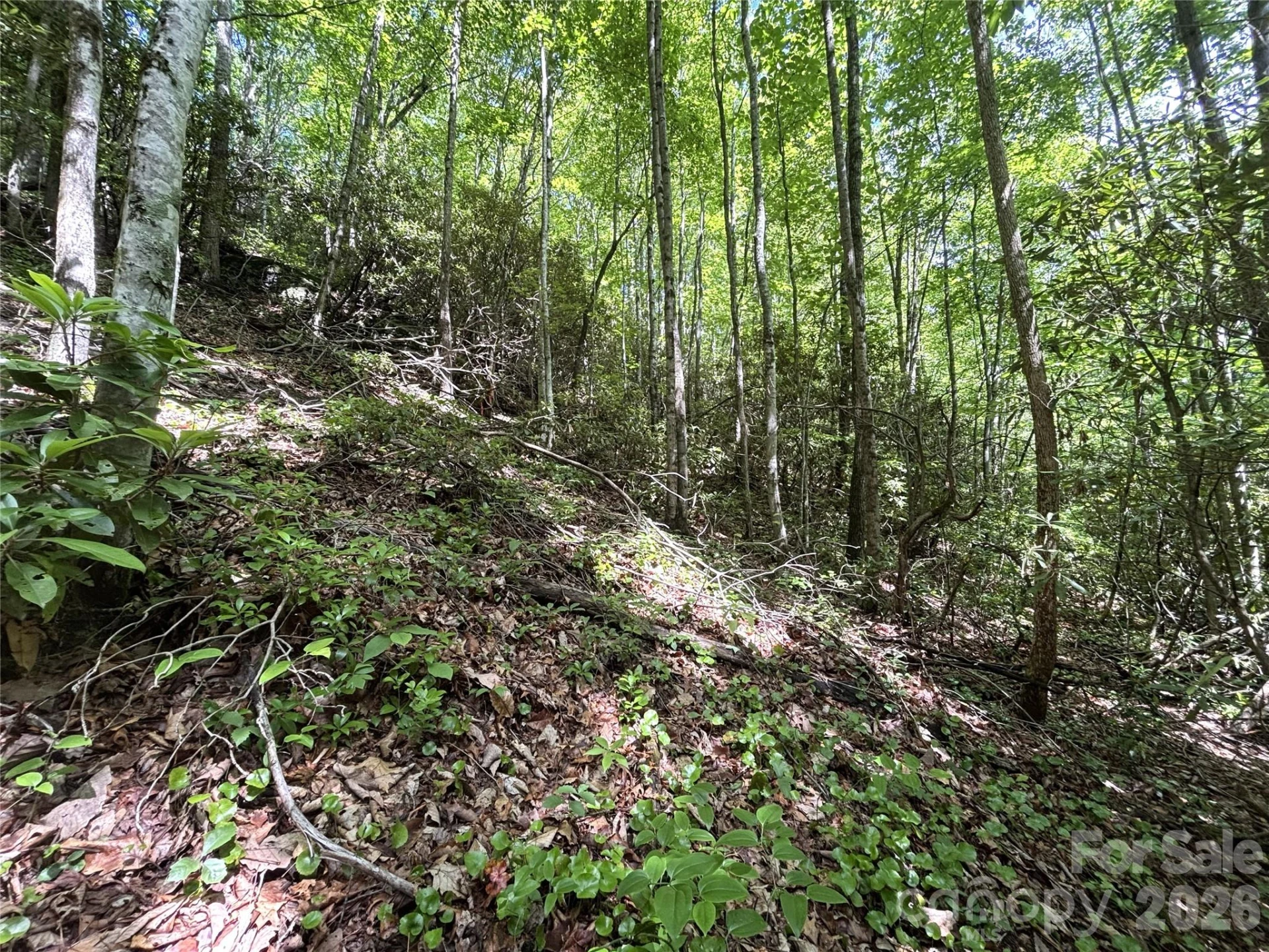 000 Valley View Drive - Photo 4