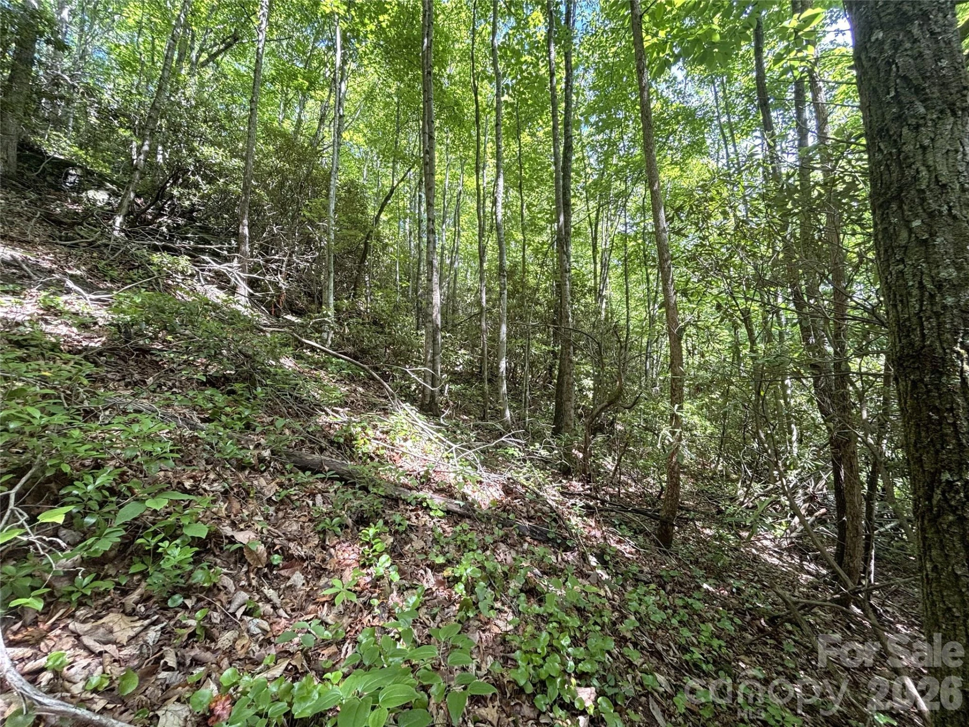 000 Valley View Drive - Photo 5