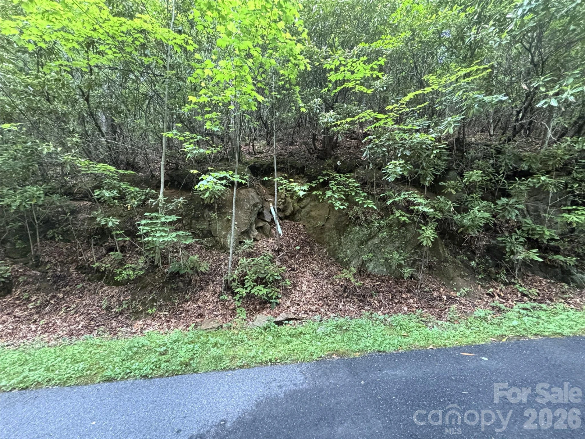 000 Valley View Drive - Photo 9