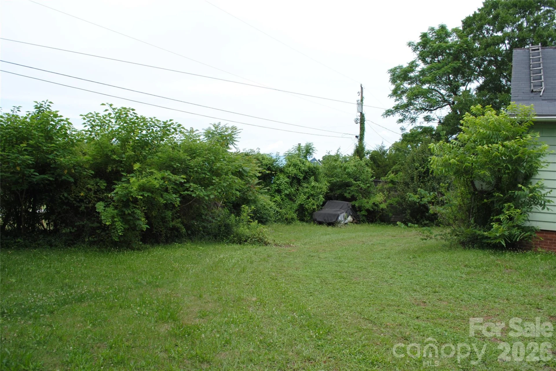 153 & 135 Caroleen Street - Photo 11