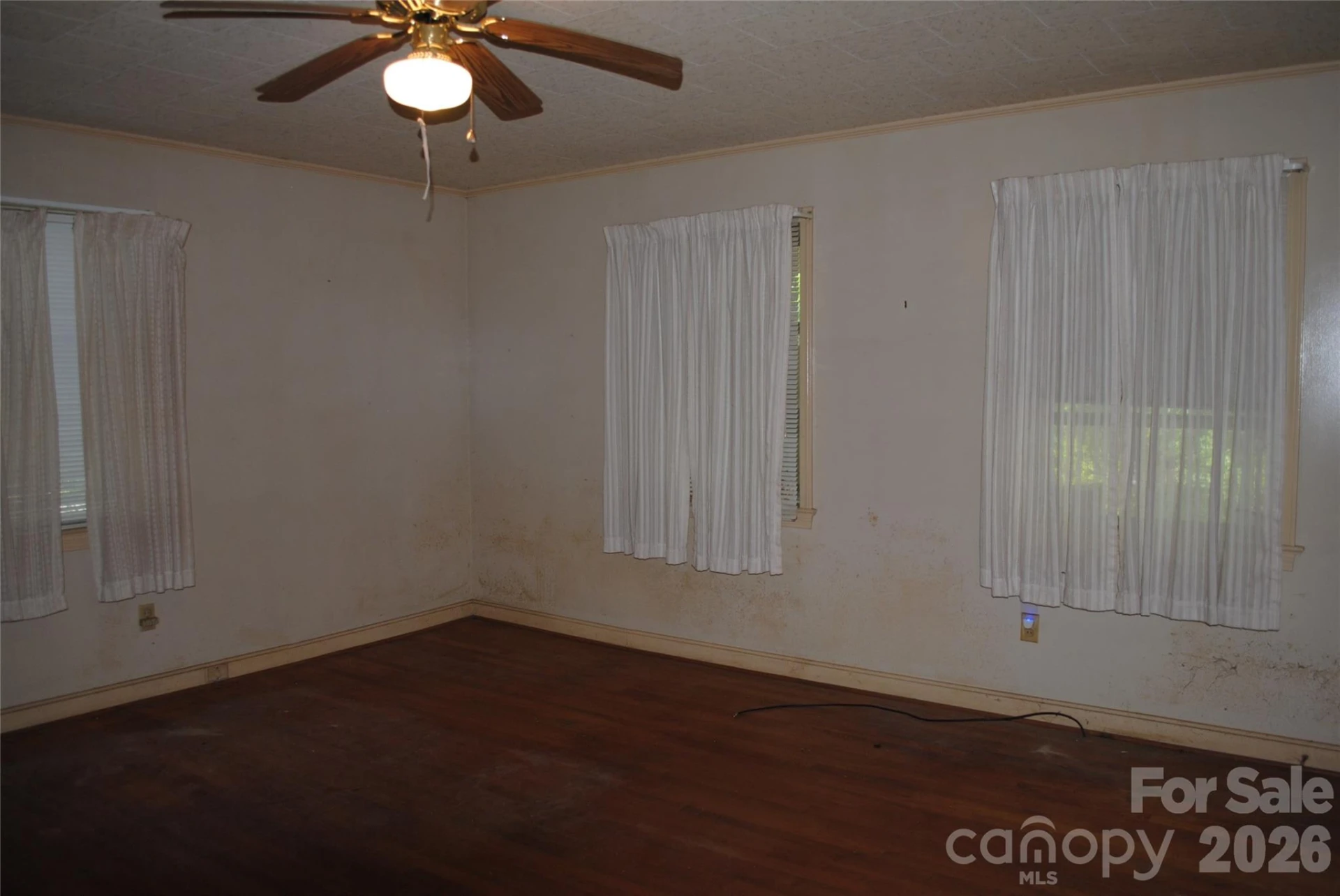153 & 135 Caroleen Street - Photo 33