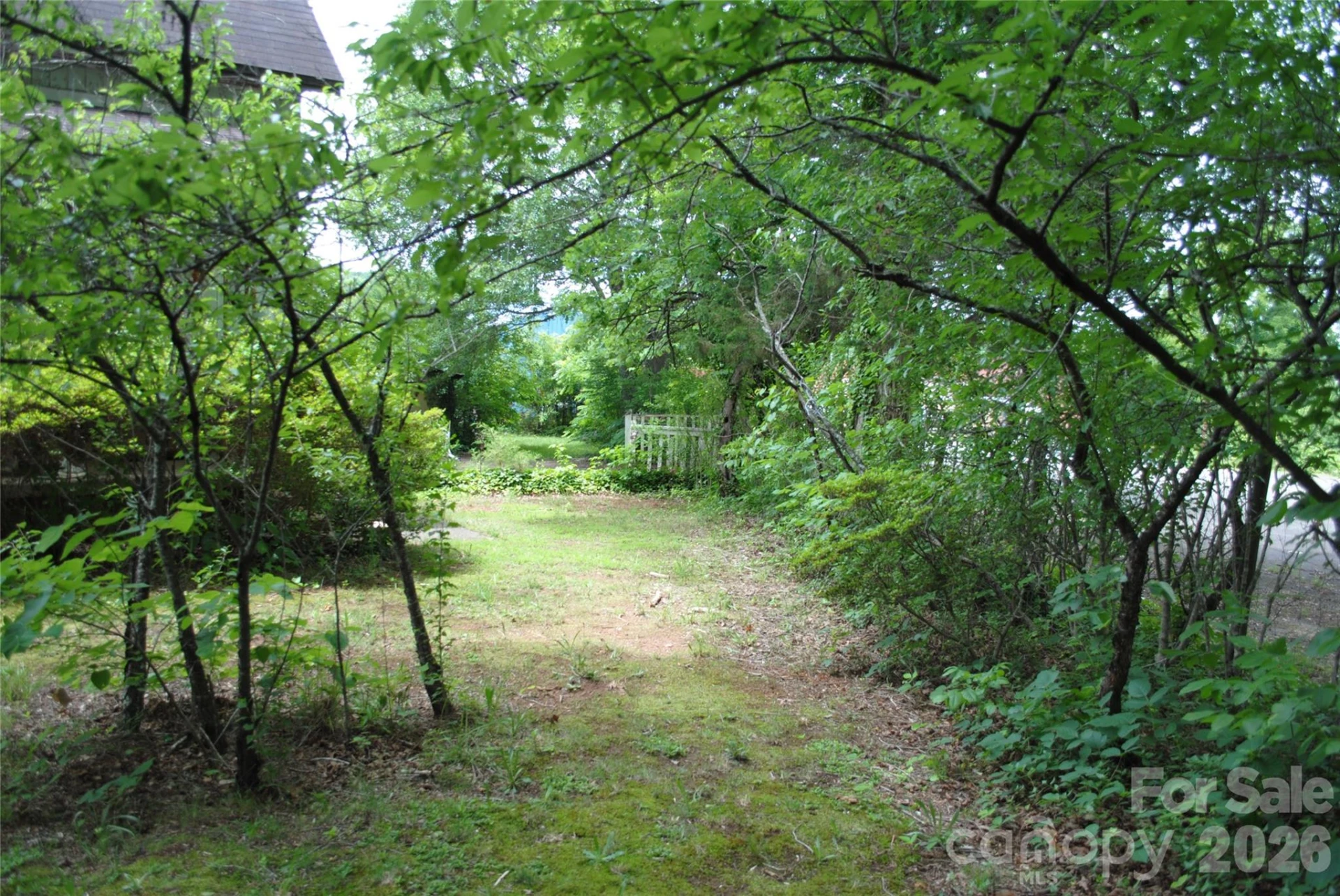 153 & 135 Caroleen Street - Photo 8