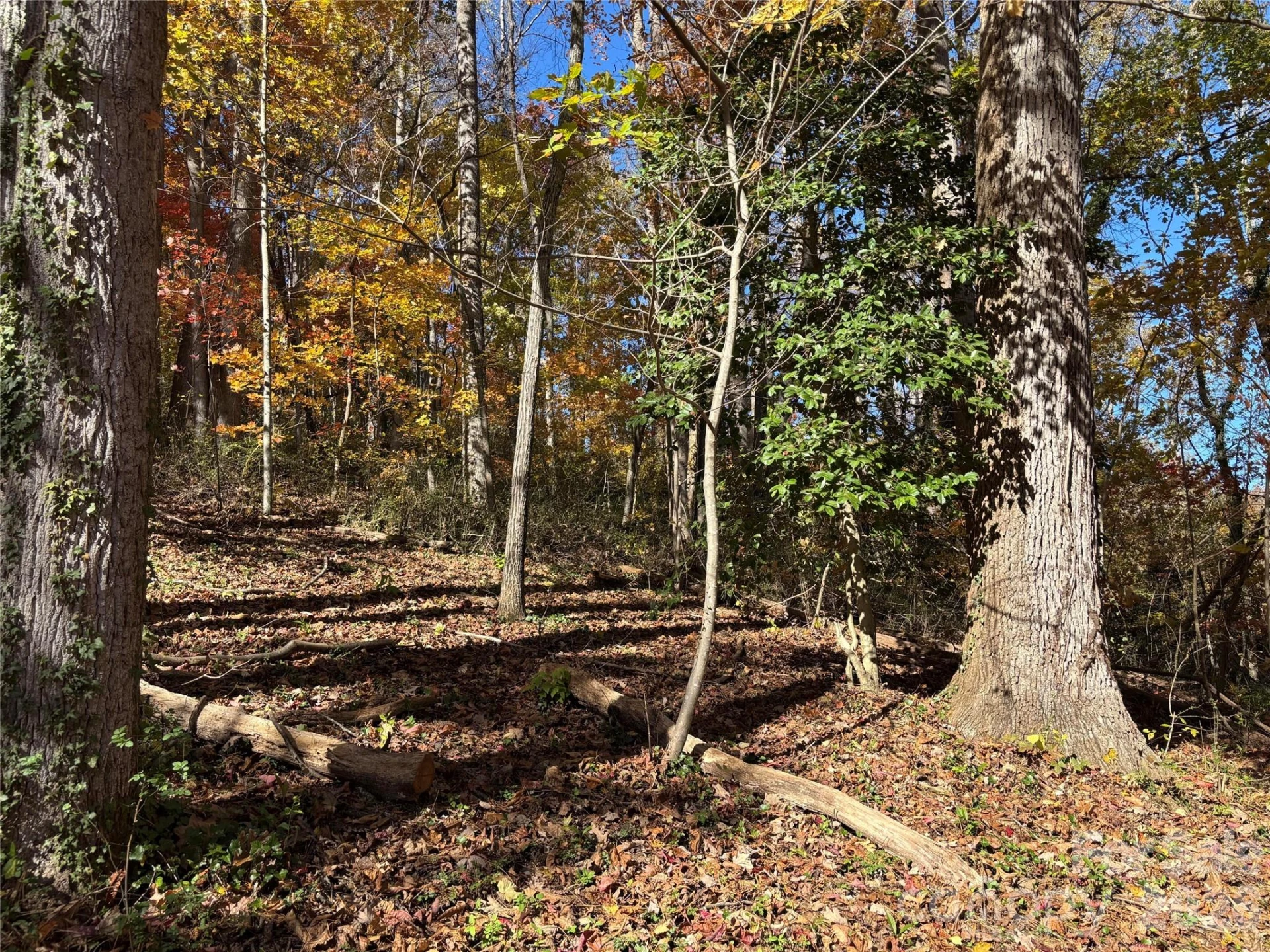 20 La Grange Drive - Photo 13