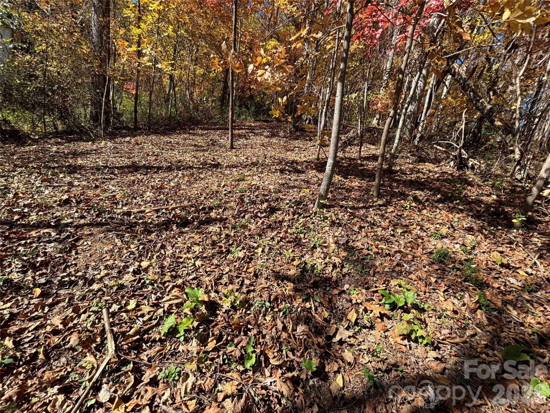 20 La Grange Drive - Photo 15