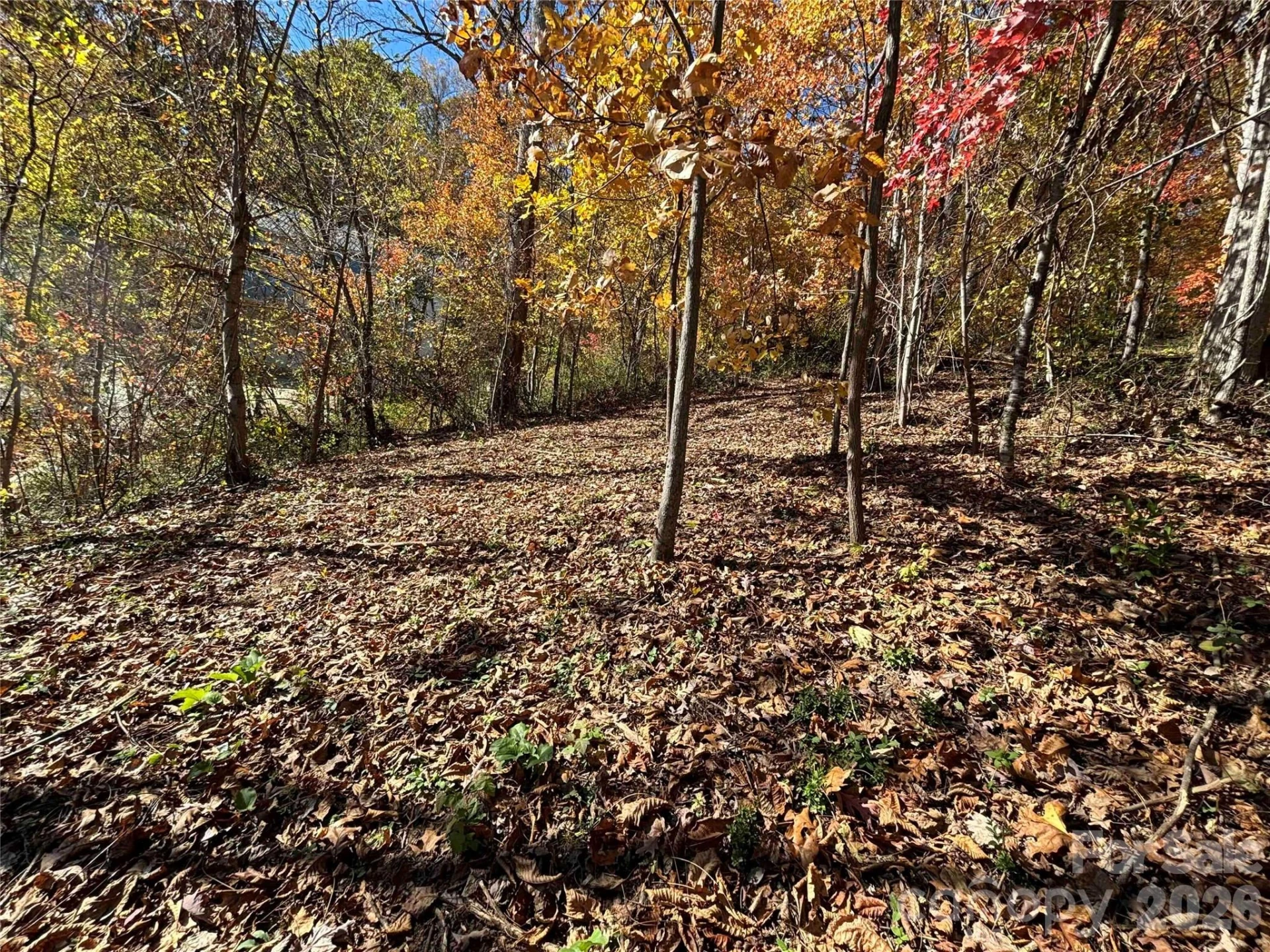20 La Grange Drive - Photo 16