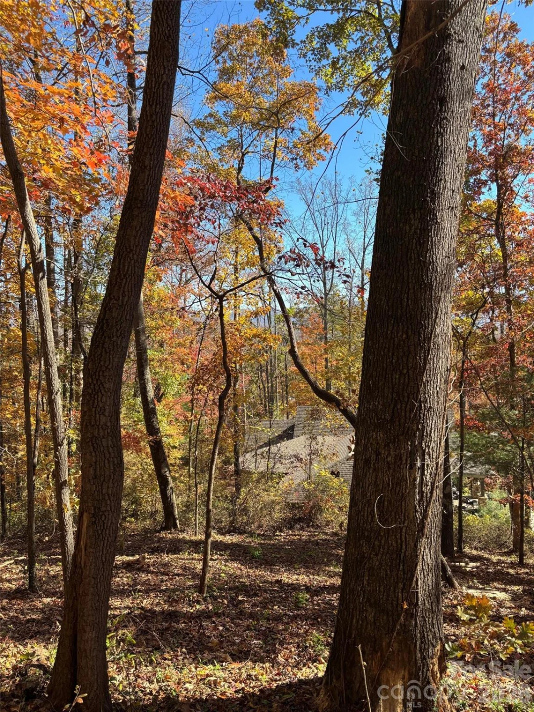 20 La Grange Drive - Photo 18