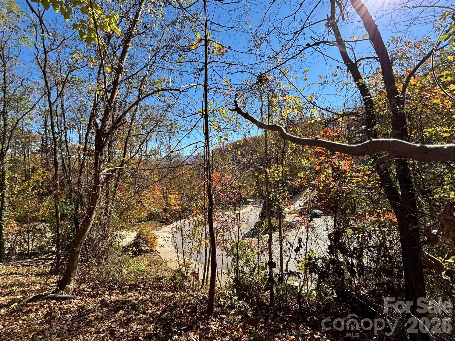 20 La Grange Drive - Photo 6
