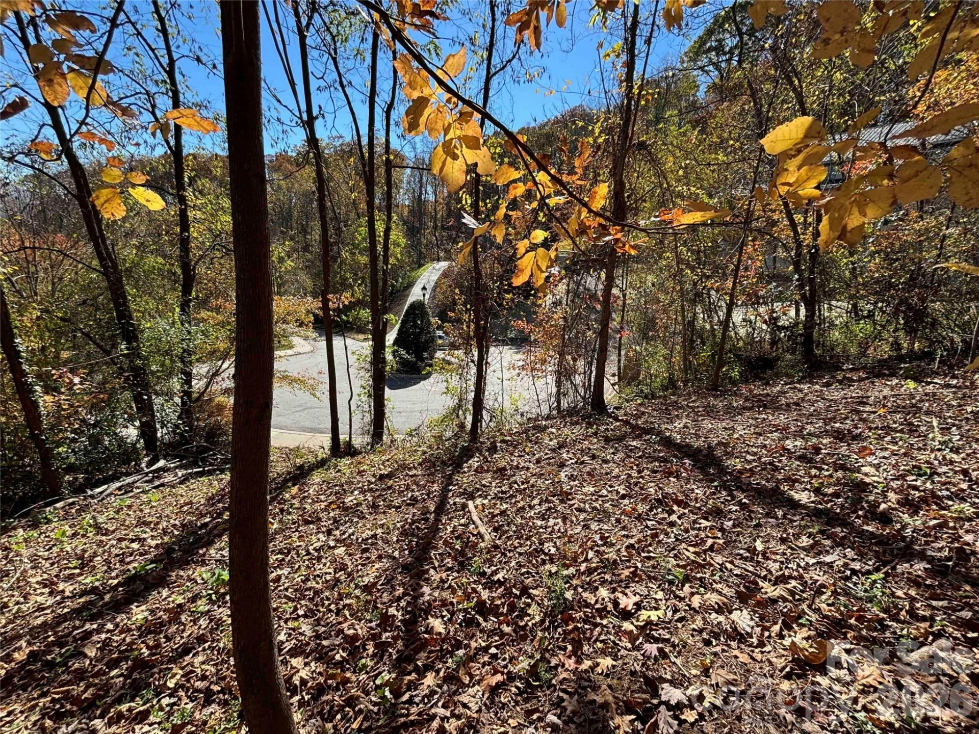 20 La Grange Drive - Photo 7
