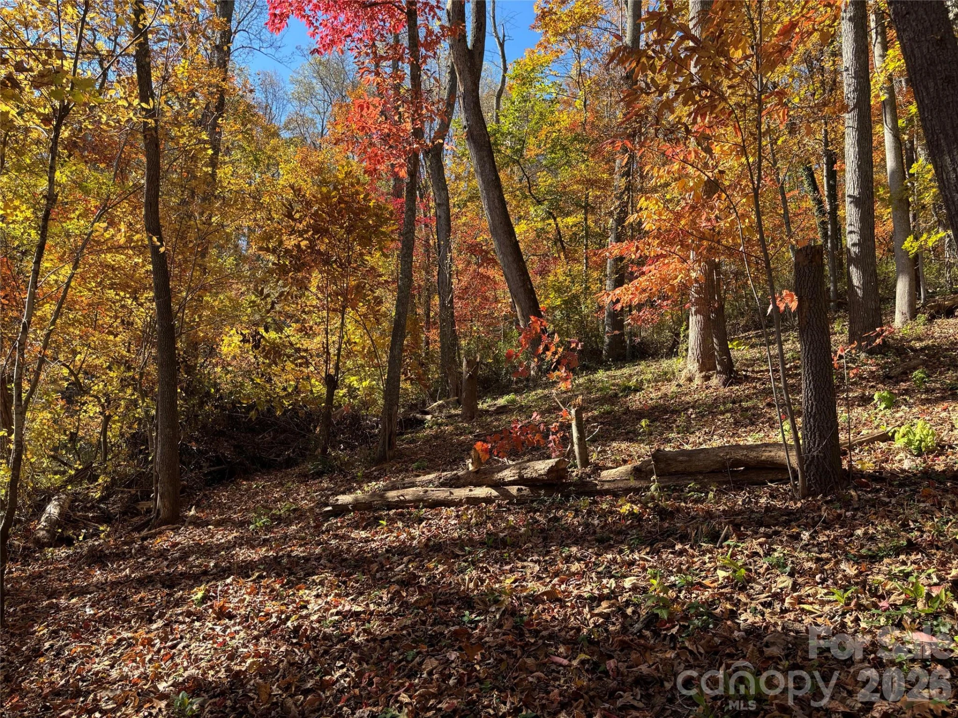 20 La Grange Drive - Photo 9