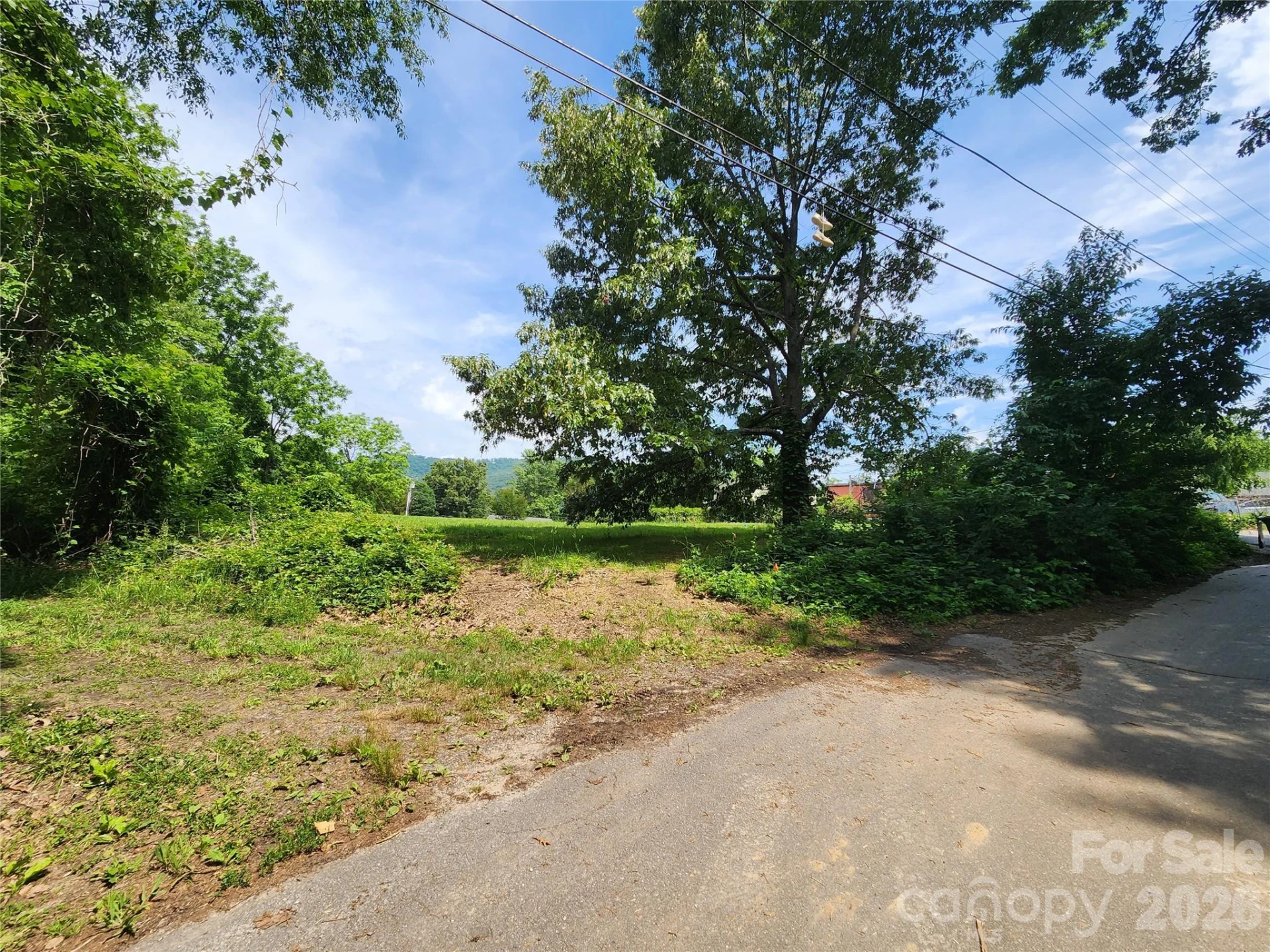 TBD Rock Hill Place #1 - Photo 19
