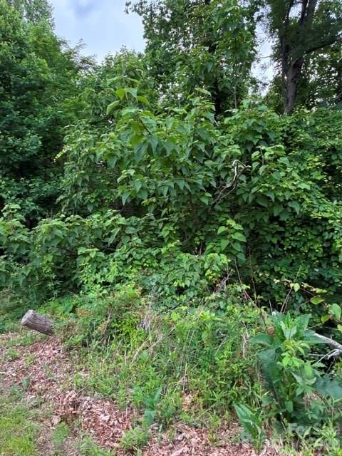 97 DEVIN RIDGE Lane #97 - Photo 2