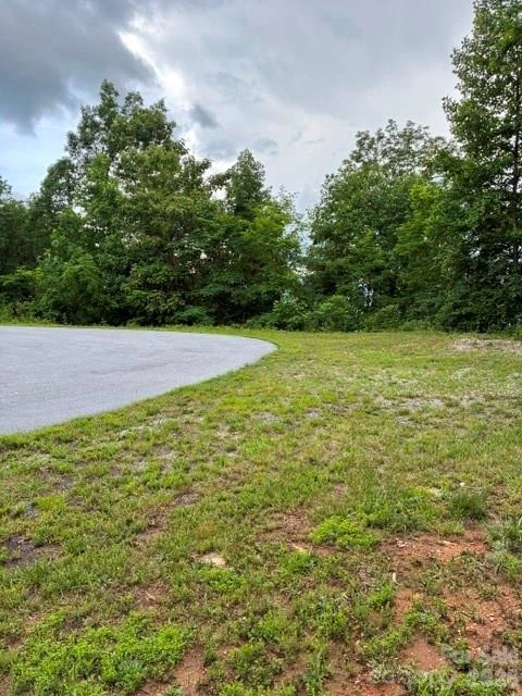97 DEVIN RIDGE Lane #97 - Photo 3