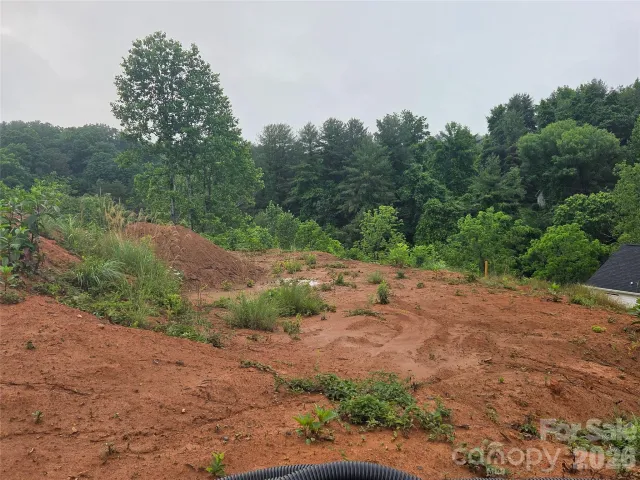 292 Big Branch Drive