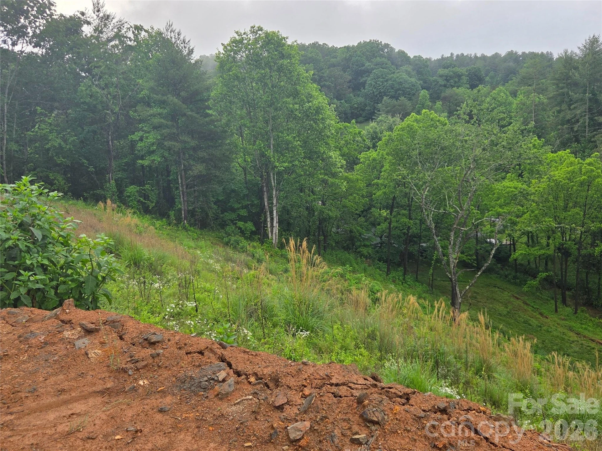 374 Big Branch Drive #Lot 2 D - Photo 2