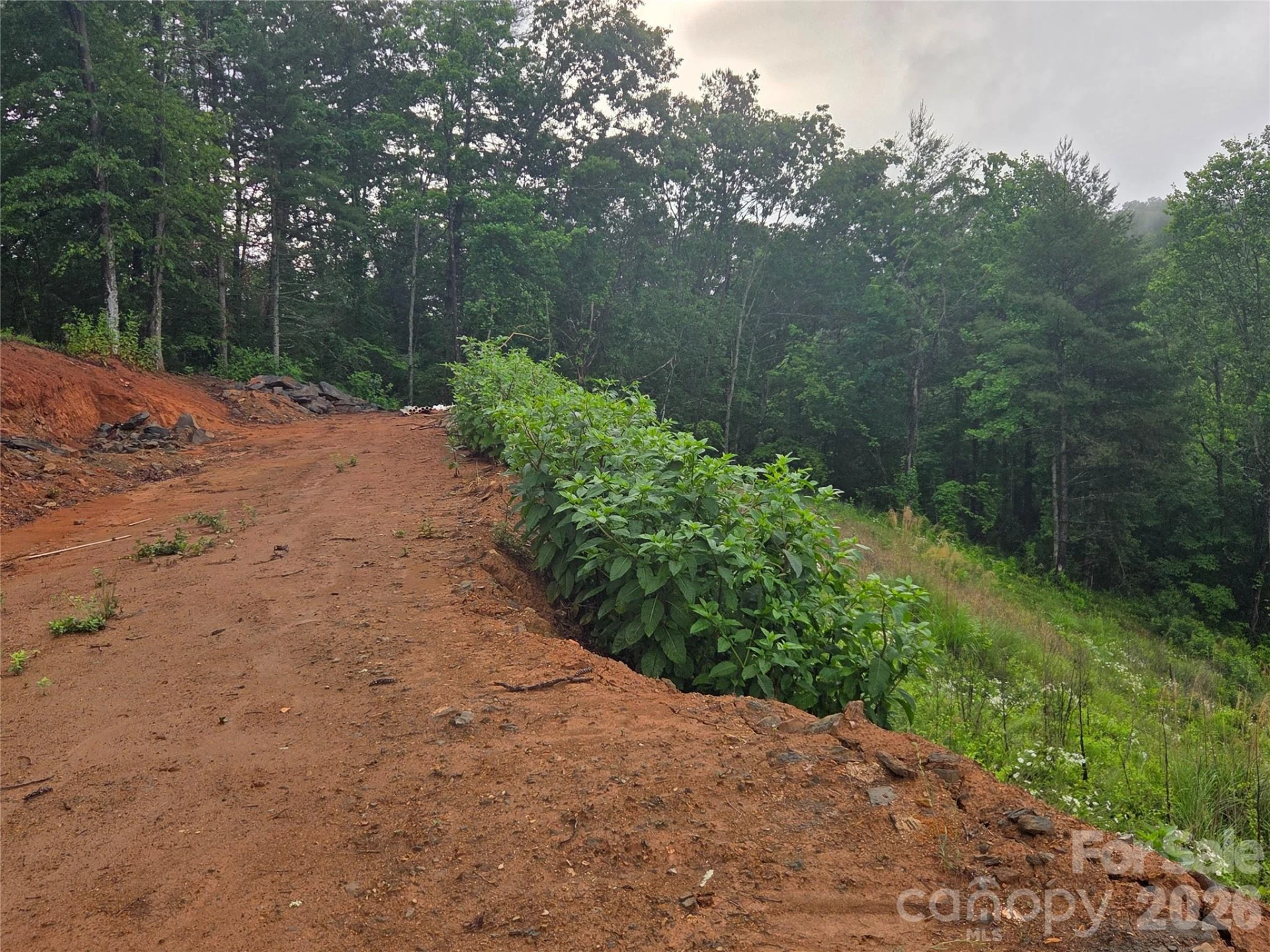 374 Big Branch Drive #Lot 2 D - Photo 3
