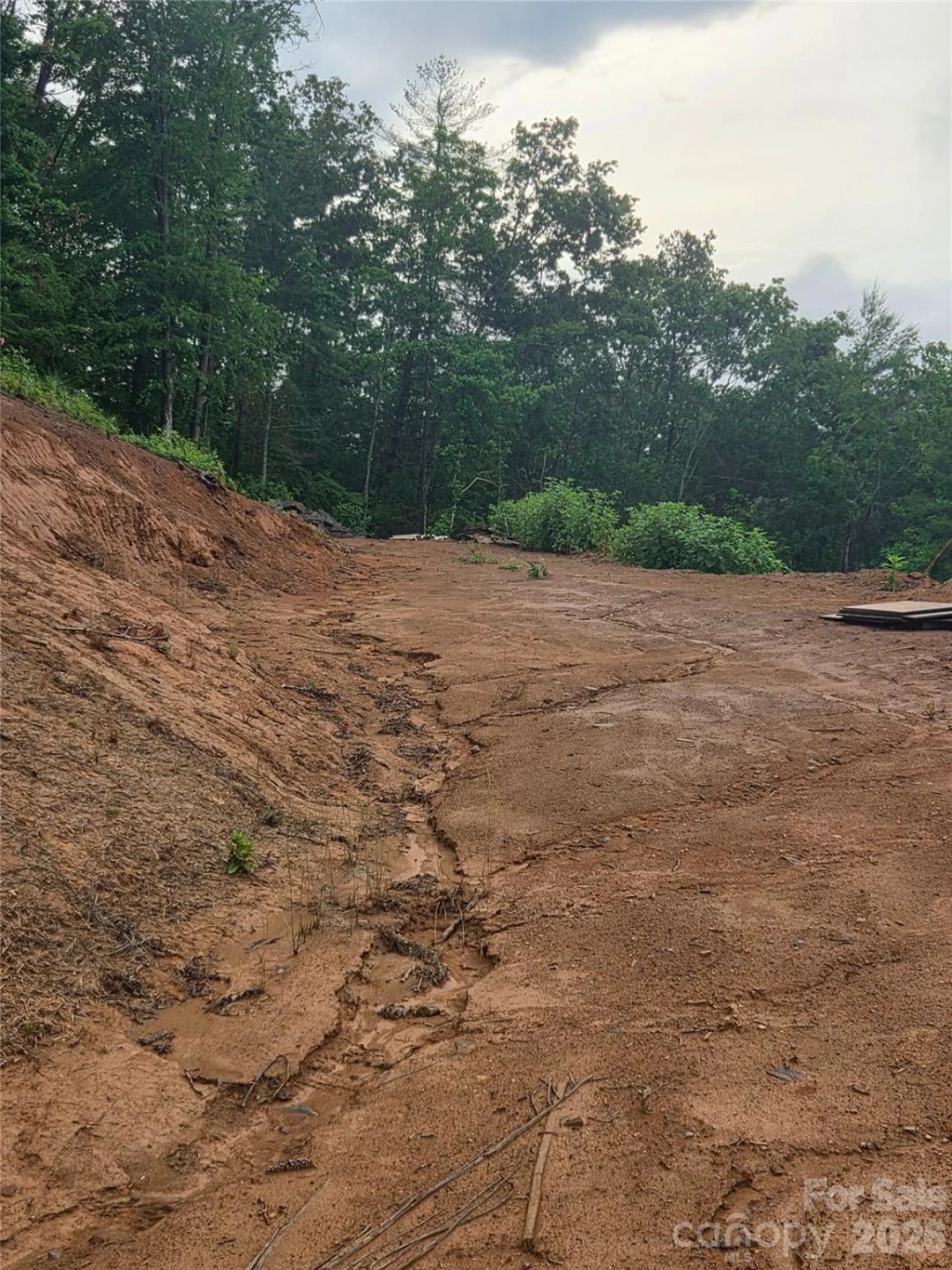 374 Big Branch Drive #Lot 2 D - Photo 4