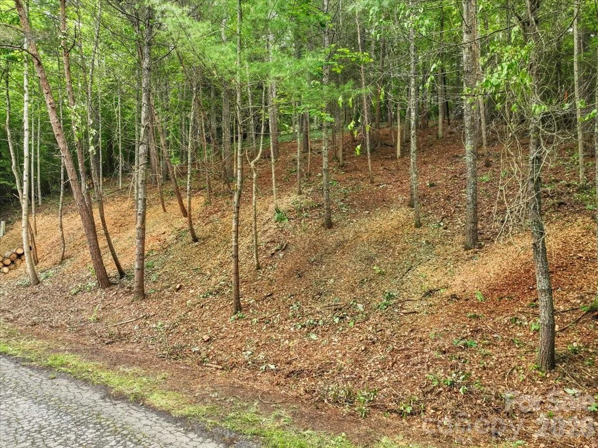 Lot 29 Hampton Lane - Photo 3