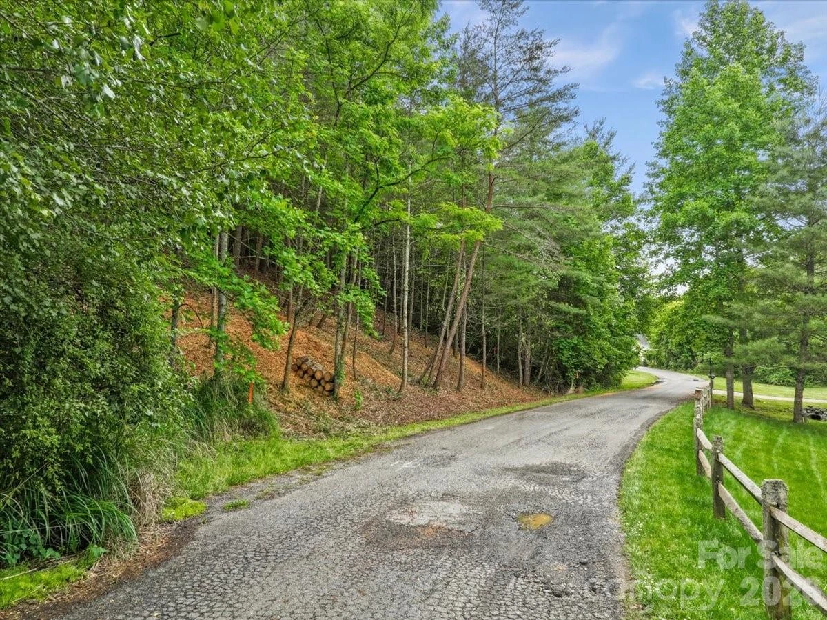 Lot 29 Hampton Lane - Photo 4