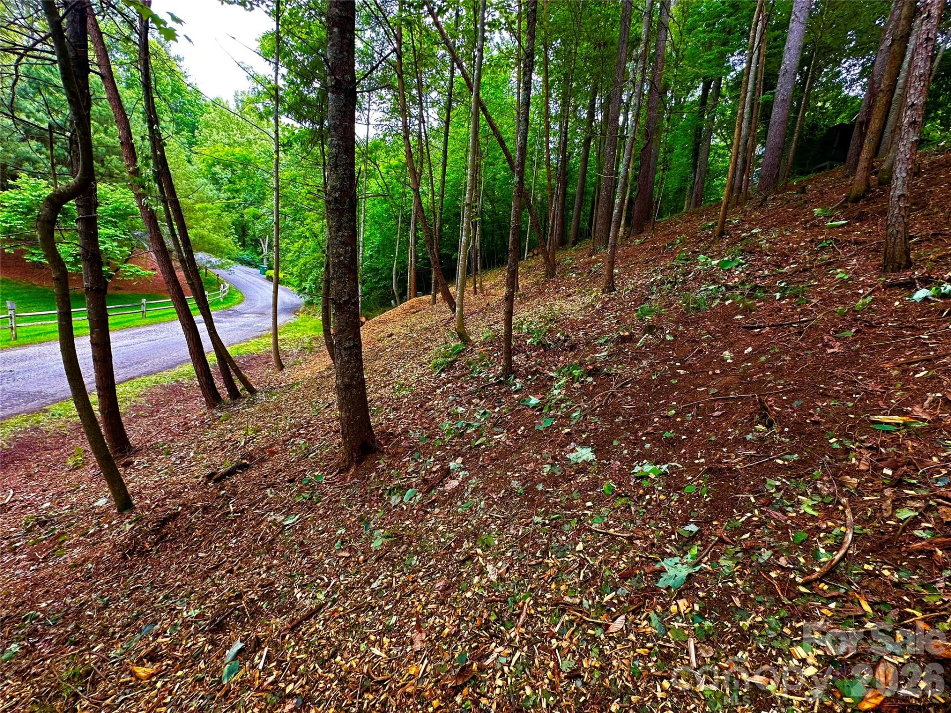 Lot 29 Hampton Lane - Photo 5