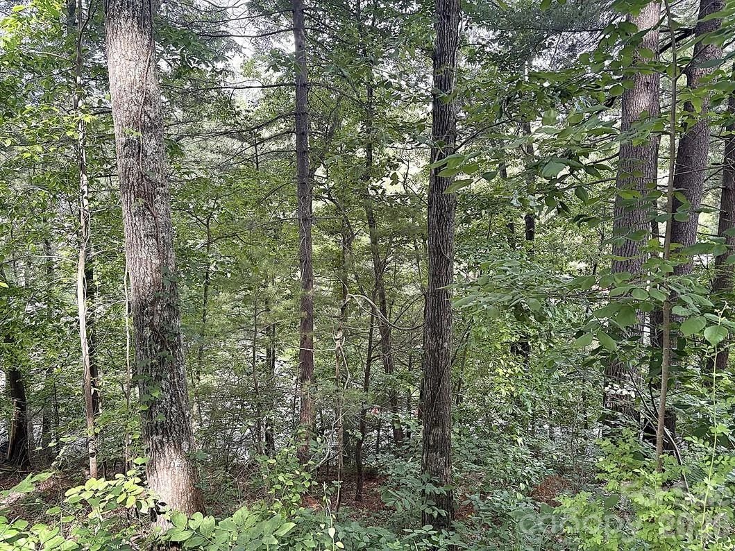 000 Toms Park Circle #66 - Photo 2