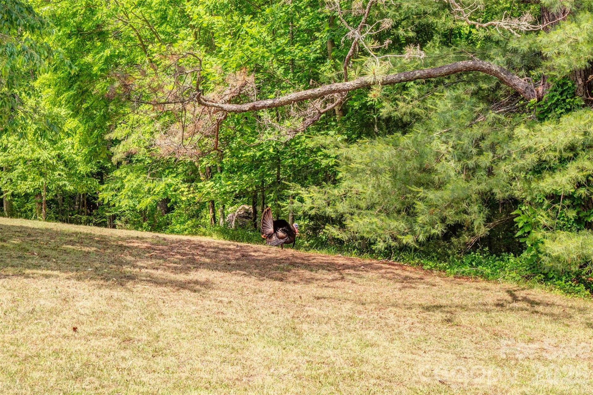 136 Graveyard Road - Photo 46