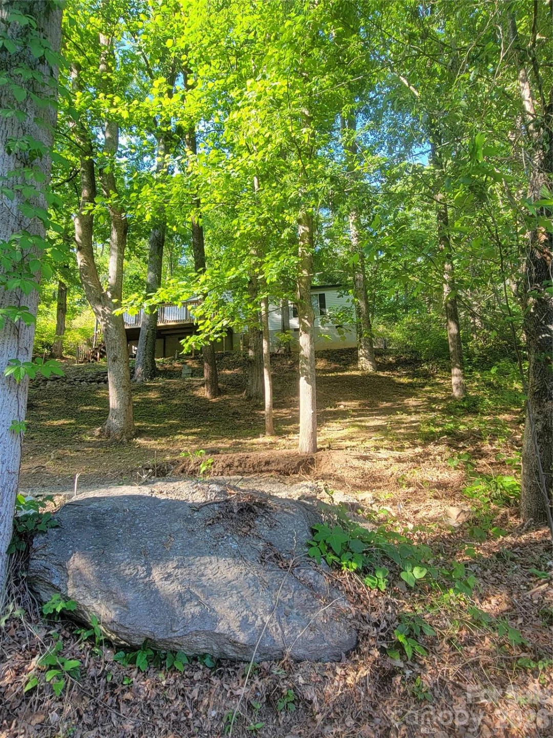 138 Buddy Lane - Photo 3